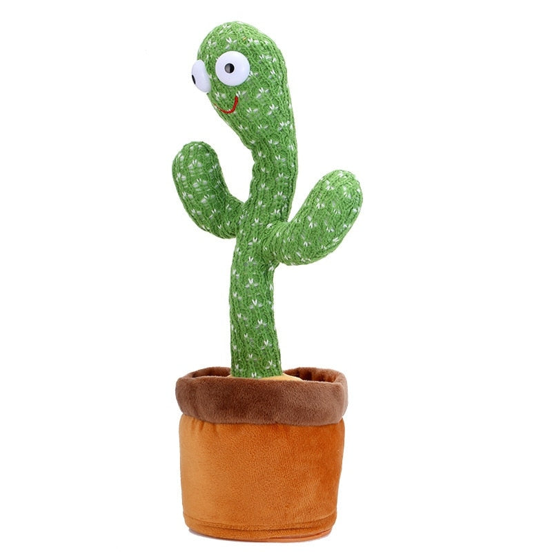 Cactus Dançante e Falante